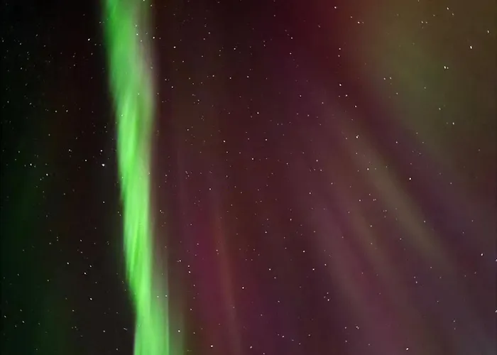 Fjord Haven Apartment *