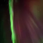 Fjord Haven Lejlighed *